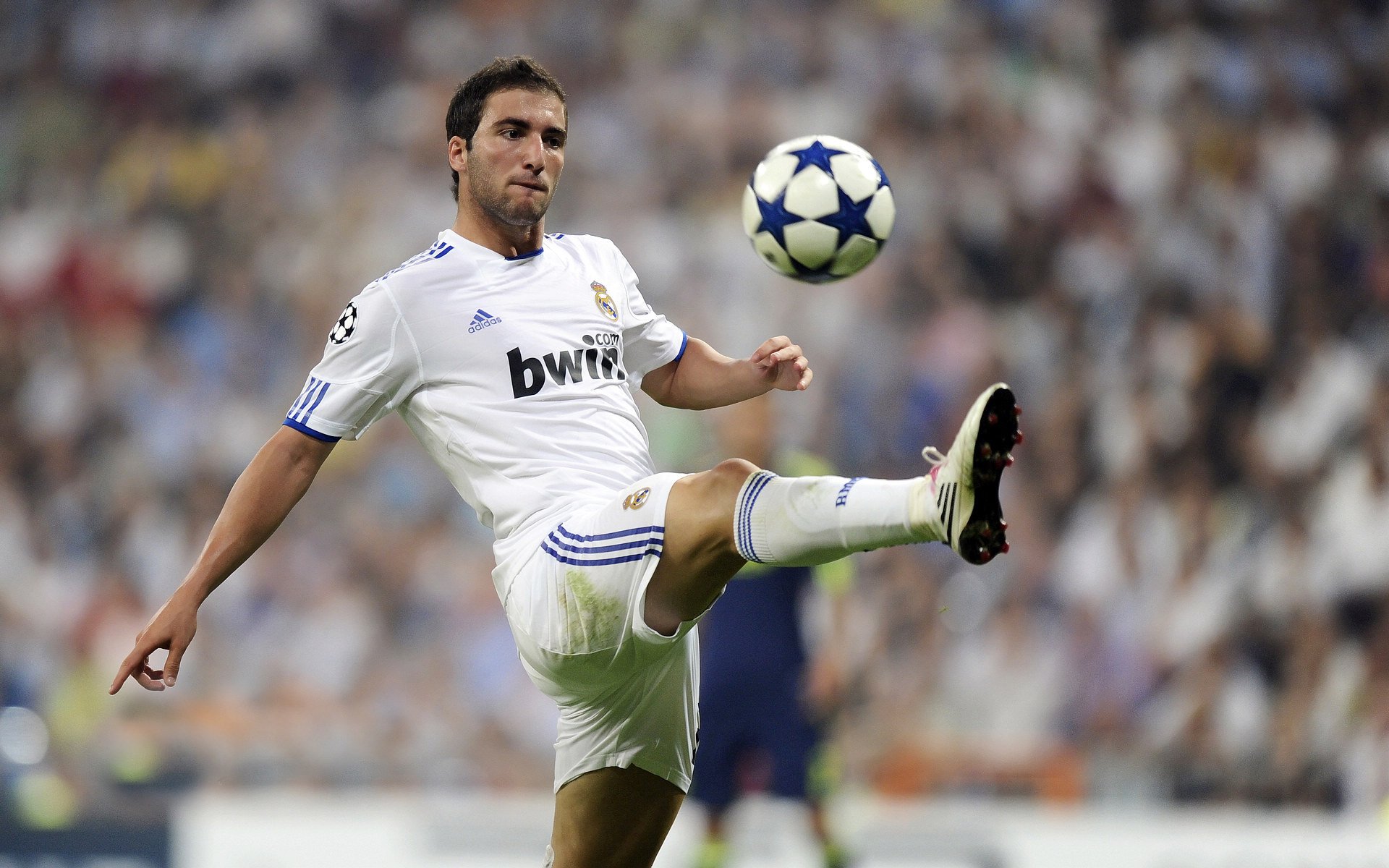 开云APP-F1街道赛焦点战，几内亚车手如何收割巴黎的赛道与人心